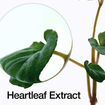 Anua Heartleaf 70 Intense Calming Cream